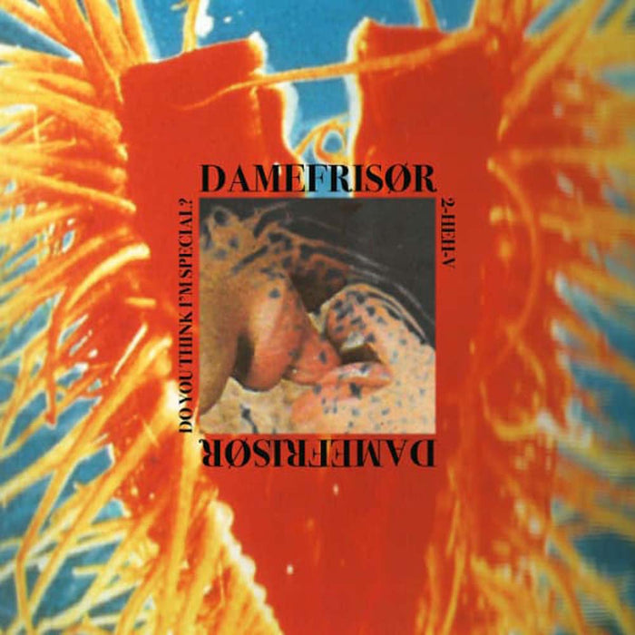 Damefrisor Do You Think I'm Special? Vinyl 7" Single 2022