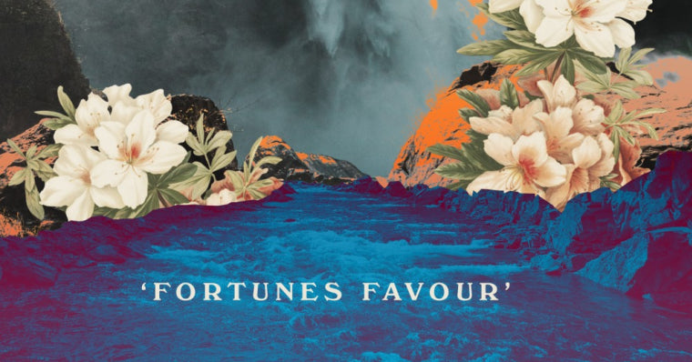 Ed Cosens Fortunes Favour Vinyl LP 2021