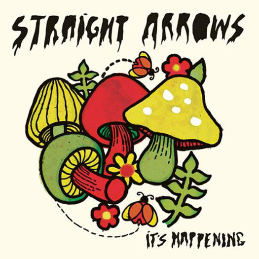 STRAIGHT ARROWS IT'S HAPPENING LP VINYL NEW 33RPM