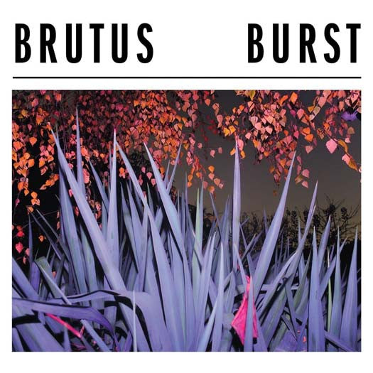 BRUTUS Burst Vinyl LP 2017