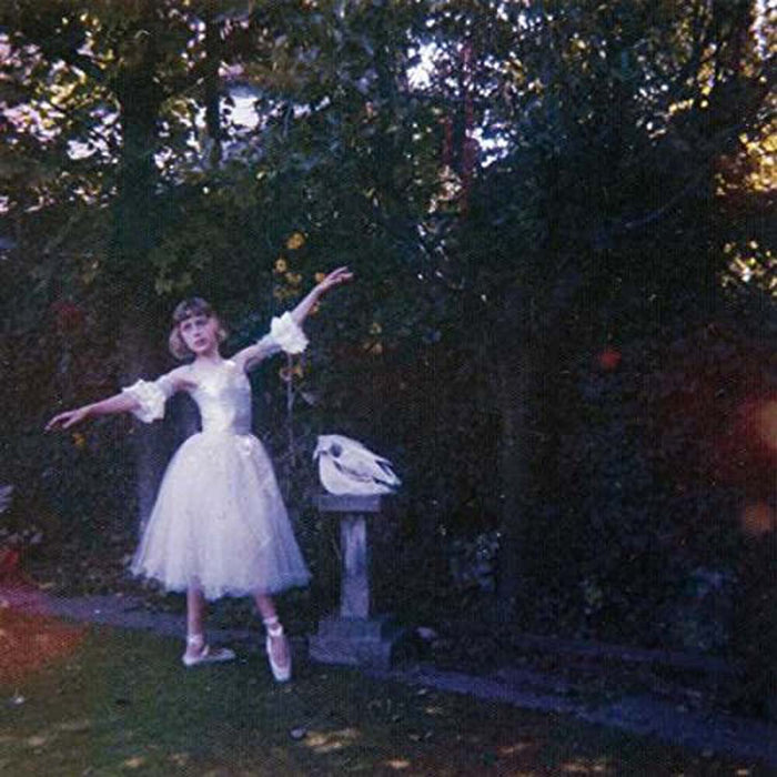 Wolf Alice Visions of a Life Vinyl LP 2017