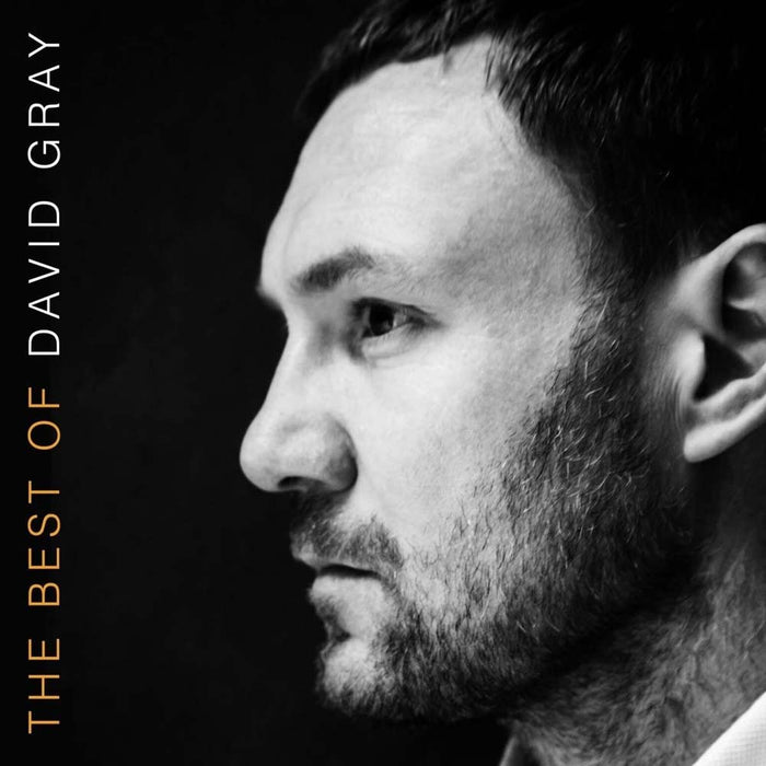 DAVID GRAY The Best Of Vinyl LP 2016