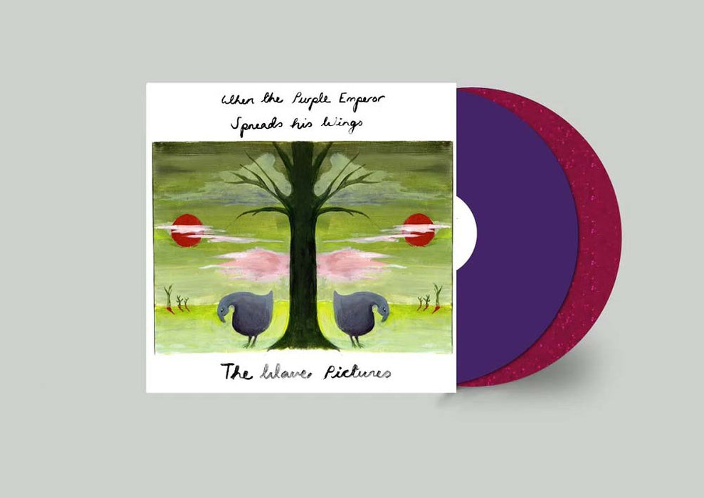 The Wave Pictures When The Purple Emperor Spreads His Wings Vinyl LP Purple & Pink Sparkle Colour 2022