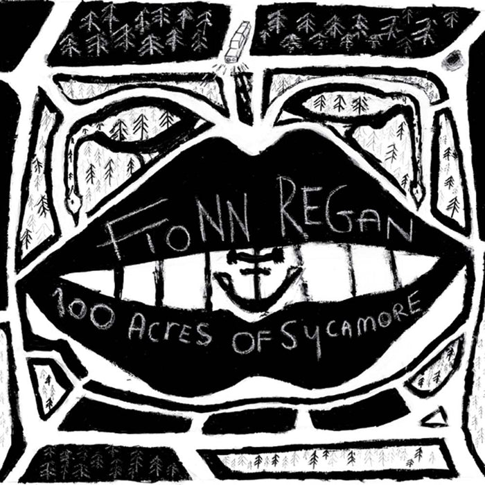 Fionn Regan 100 Acres Of Sycamore Vinyl LP Indies Reissue 2021