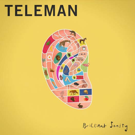 Teleman Brilliant Sanity Vinyl LP 2016