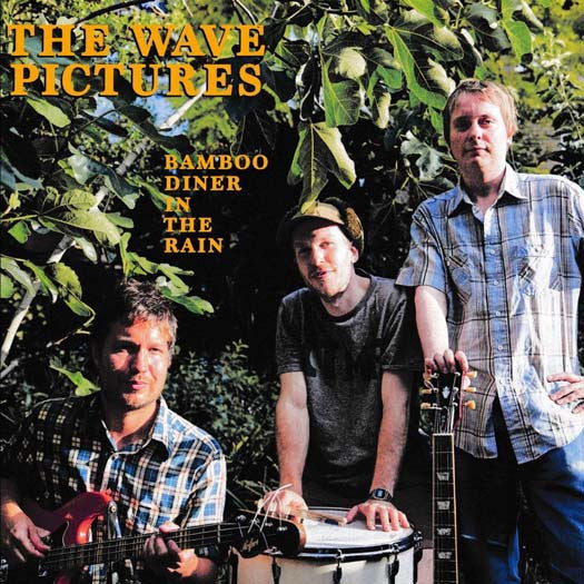 THE WAVE PICTURES Bamboo Diner In The Rain LP Vinyl NEW 2016
