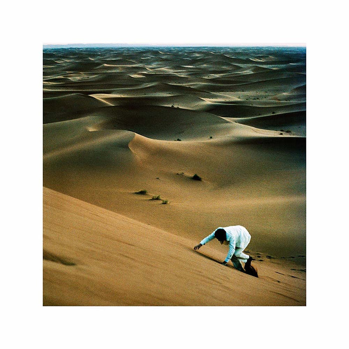 Baxter Dury - Prince of Tears Vinyl LP 2017