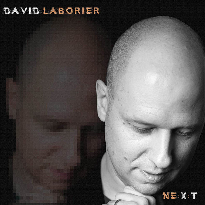 David Laborier Next Vinyl LP 2019