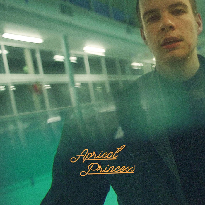 Rex Orange County Apricot Princess Vinyl LP Orange Colour 2018