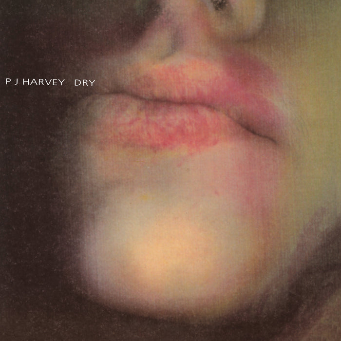 PJ Harvey Dry Vinyl LP  2020