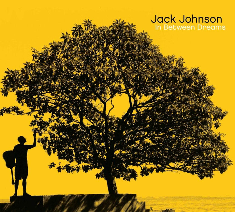 Jack Johnson In Between Dreams Vinyl LP 2005