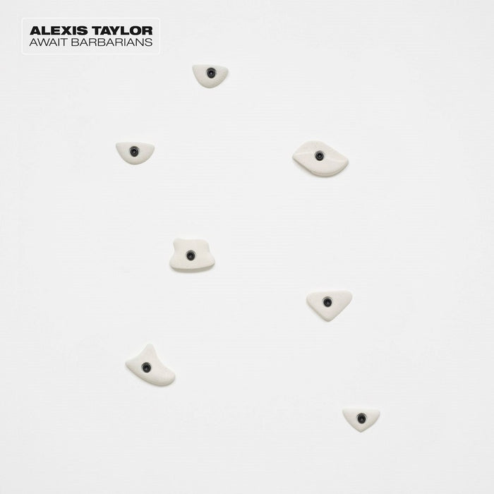 Alexis Taylor Await Barbarians Vinyl LP 2014