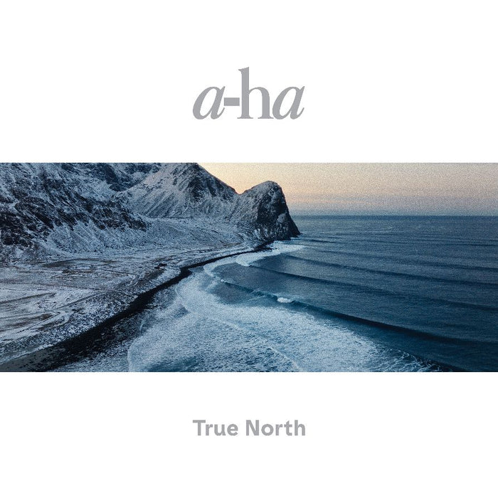 a-ha True North Vinyl LP Exclusive Recycled Edition 2022