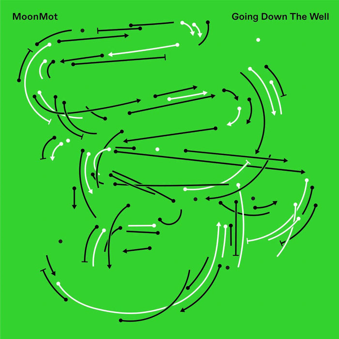 Moonmot - Going Down The Well Vinyl LP Out 2020