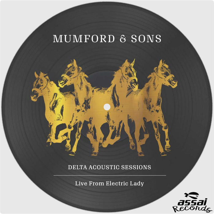 Mumford & Sons Delta Acoustic Session Live Electric Lady 10" Vinyl EP 2019