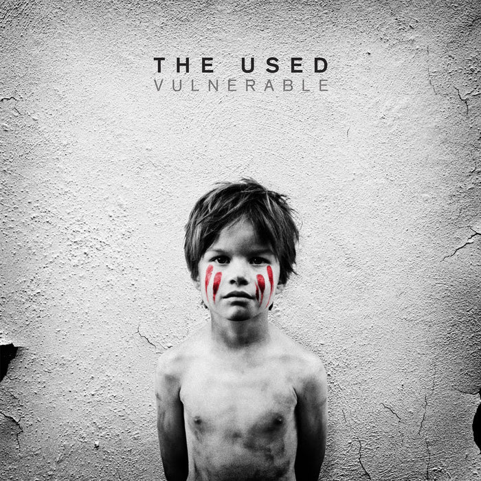 USED VULNERABLE Vinyl LP  NEW