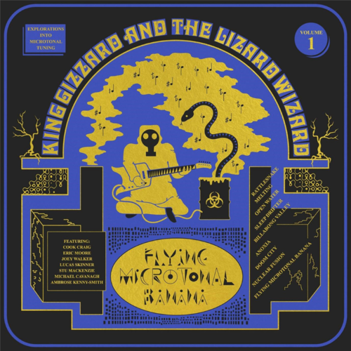 King Gizzard & The Lizard Wizard - Flying Microtonal Banana Recycled Ecomix Coloured Vinyl LP LOVE RECORD STORES 2020
