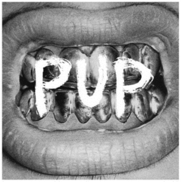 PUP Pup Vinyl LP