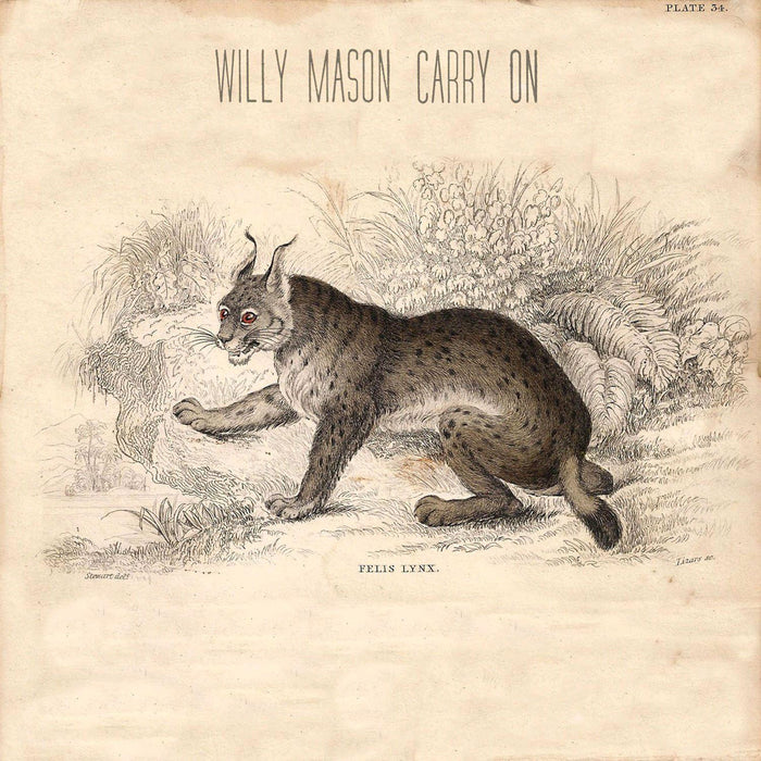 WILLY MASON CARRY ON 12 INCH LP VINYL RECORD BLUES NEW 33RPM