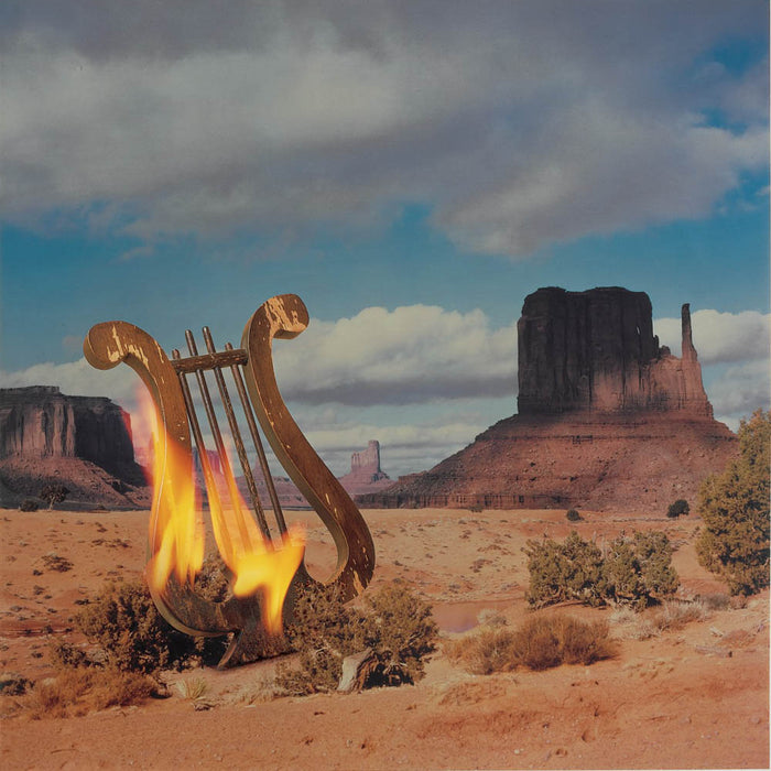 The Lyres On Fyre Vinyl LP New 2012