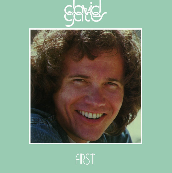 DAVID GATES FIRST LP VINYL 33RPM NEW