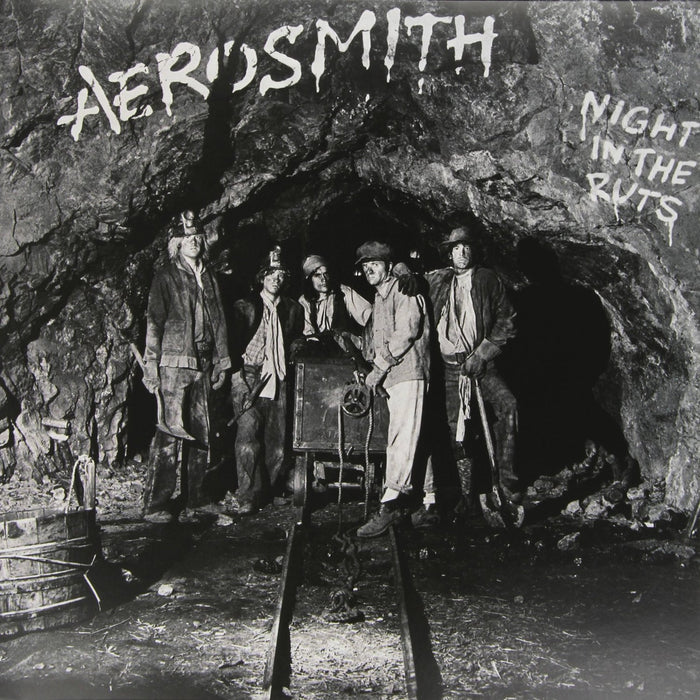 AEROSMITH NIGHT IN THE RUTS RSD 2014 LP VINYL 33RPM NEW