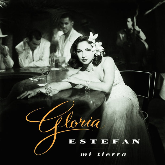 GLORIA ESTEFAN MI TIERRA LP VINYL 33RPM NEW