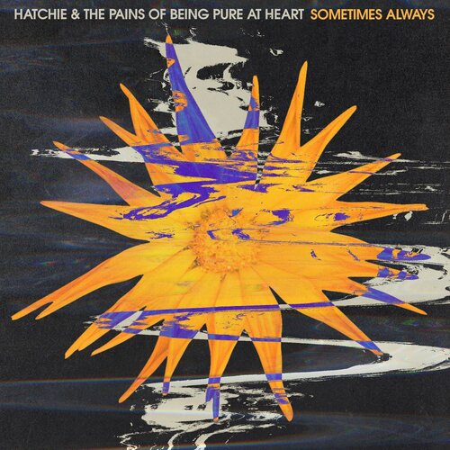 Hatchie Pains Of Being Pure At Heart Sometimes Always Vinyl 7" Single Purple Colour LOVE RECORD STORES 2020