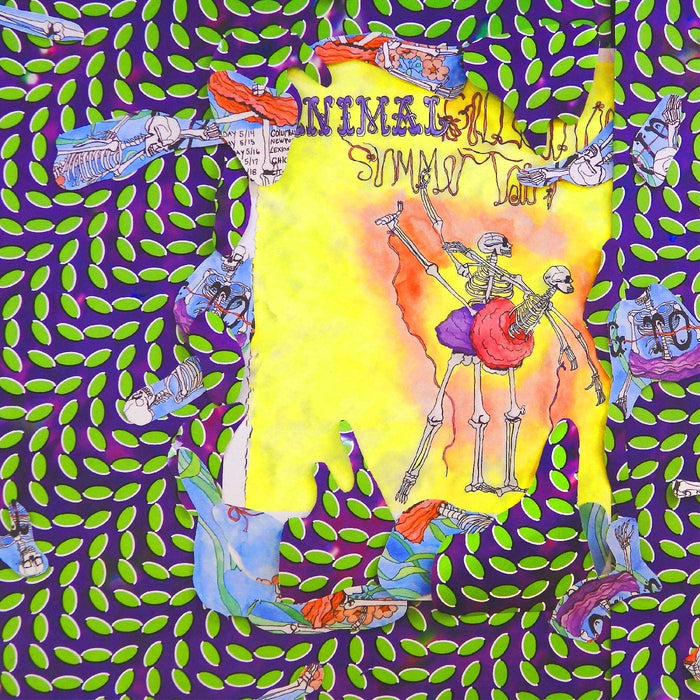 Animal Collective Ballet Slippers Vinyl LP 2020