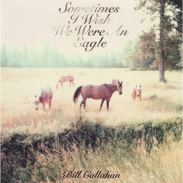 Bill Callahan Sometimes I Wish We Were An Eagle Country Vinyl LP 2009