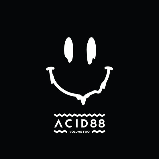 DJ Pierre - Acid 88 Volume 2 2LP Vinyl RSD2018