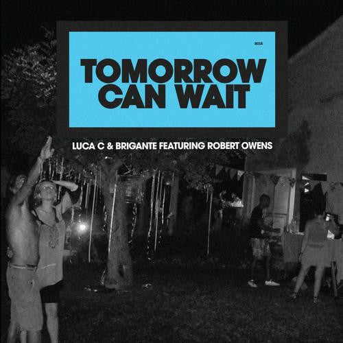 Luca C & Brigante Tomorrow Can Wait 2012 Deep House Music 12" Single Vinyl New