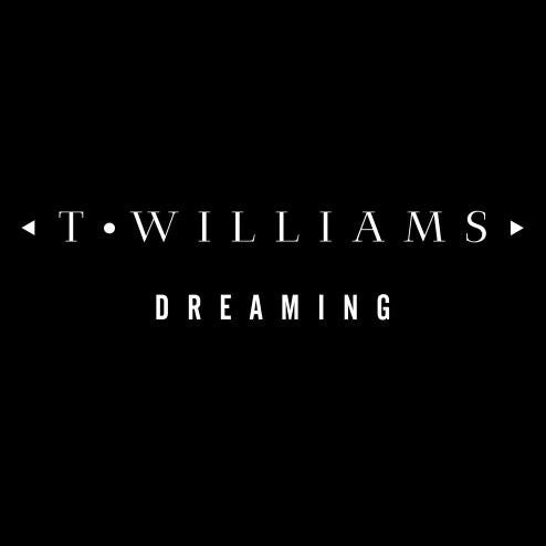 T. Williams Dreaming 2013 Electronic Dance Music 12'' Single Vinyl Brand New