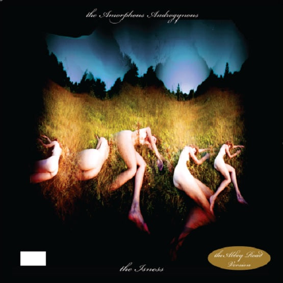 The Amorphous Androgynous - The Isness Abbey Road Cut LP Vinyl RSD2018