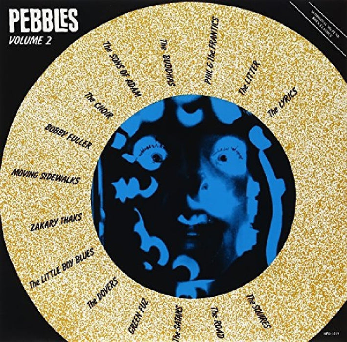 PEBBLES Volume 2 LP Vinyl NEW Original Punk