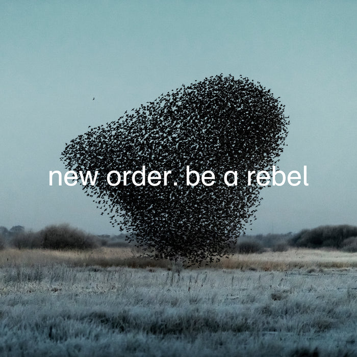 New Order Be A Rebel 12" Vinyl Single 2020