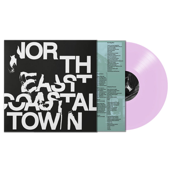 LIFE North East Coastal Town Vinyl LP Indies Pink Colour 2022