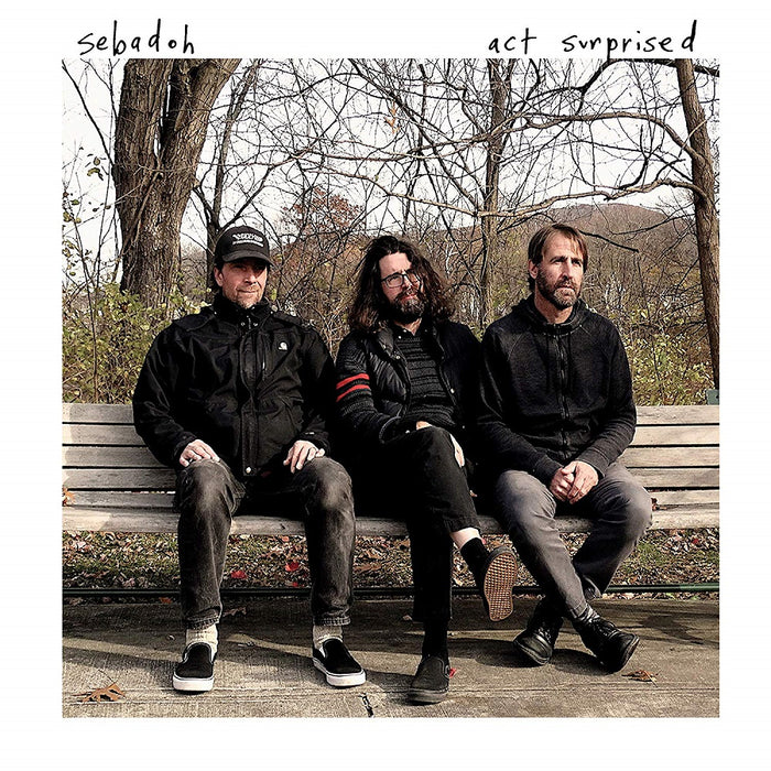 Sebadoh Act Surprised Limited White Vinyl LP 2019