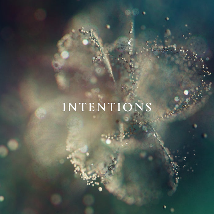 Anna Intentions Vinyl LP 2023