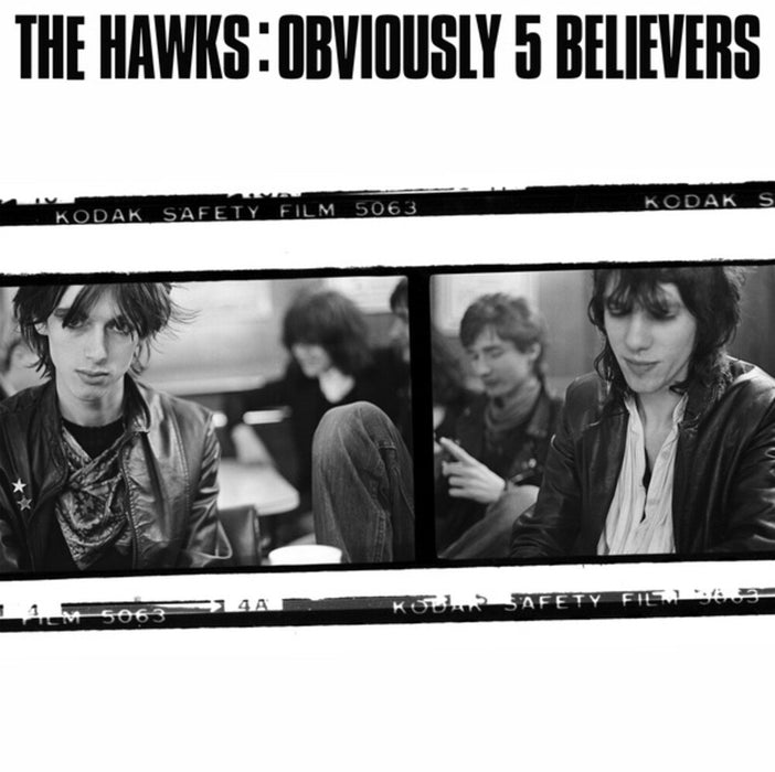 The Hawks Obviously 5 Believers (Stephen Duffy) Vinyl LP 2021