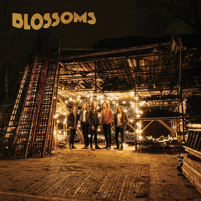 Blossoms Blossoms (Self Titled) Vinyl LP National Album Day 2022