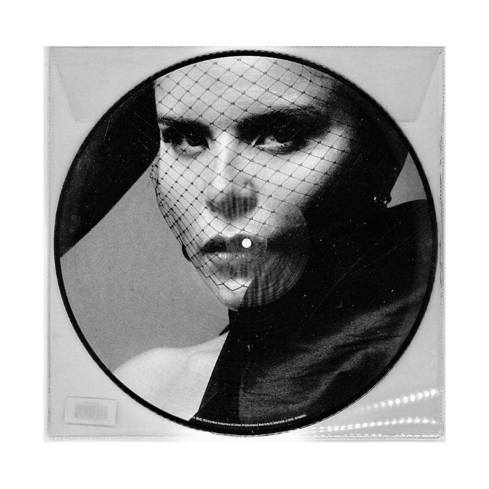 Paloma Faith Infinite Things Vinyl LP Picture Disc + Print 2020