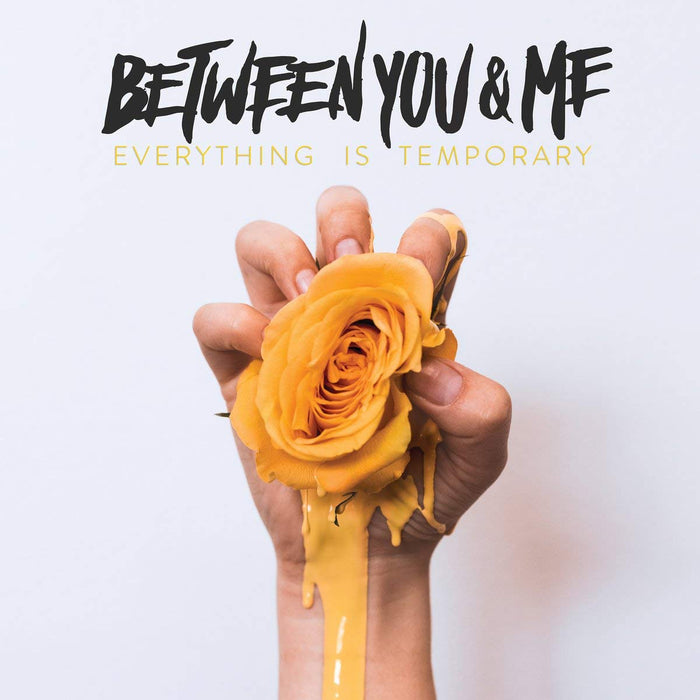 Between You & Me Everything Is Temporary Vinyl LP 2018