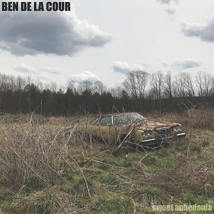 Ben de la Cour Sweet Anhedonia Vinyl LP 2023