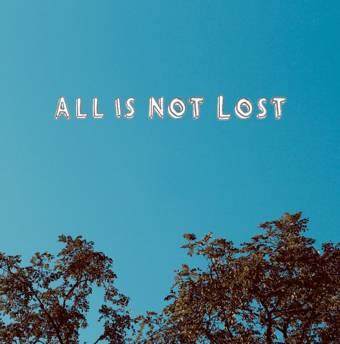 All Is Not Lost Laurie Cameron Francis Daulerio Jeff Zeigler Vinyl 12" Single 2020