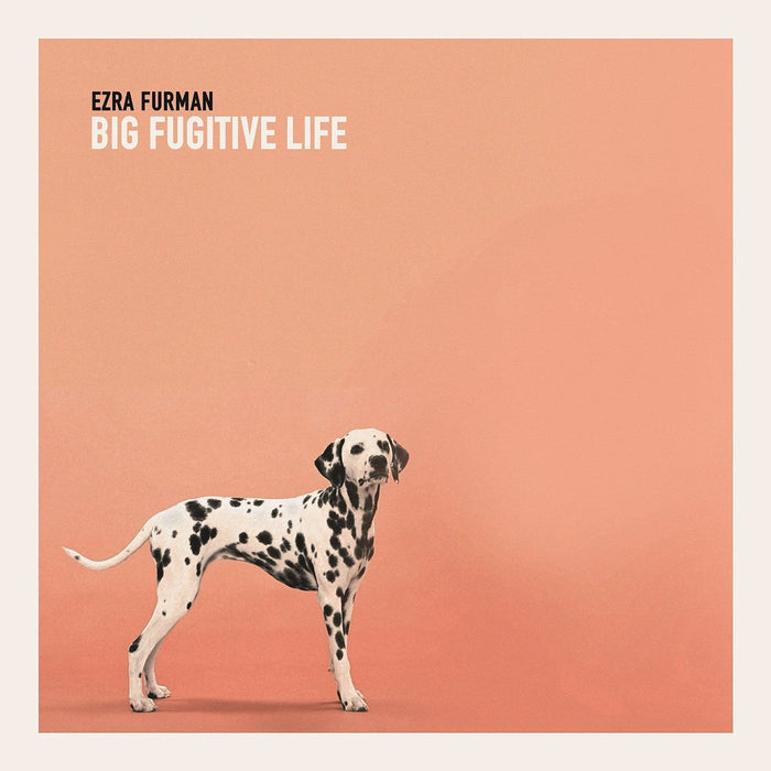 Ezra Furman Big Fugitive Life Vinyl 10" EP 2016