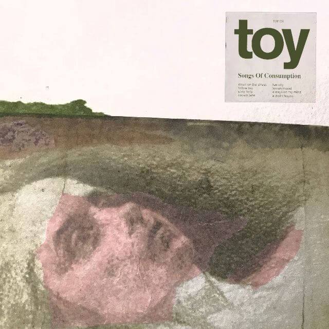 Toy Songs Of Consumption Vinyl LP 2019