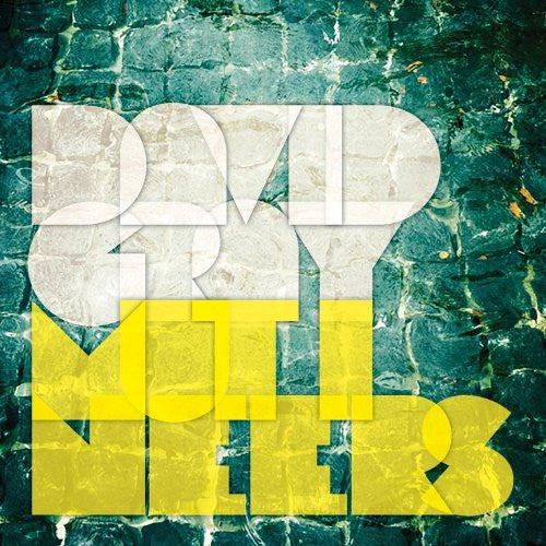 DAVID GRAY MUTINEERS LP VINYL 33RPM NEW